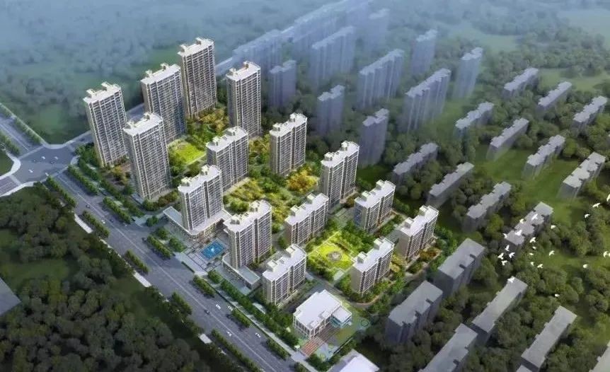 【項目負責人說】葉書莊：勇毅前行 精益求精