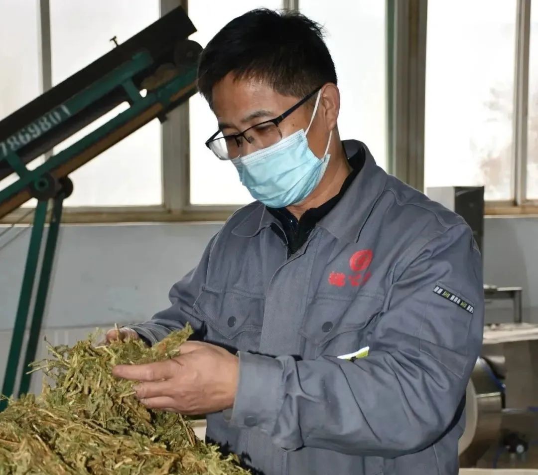 【向下扎根，向上生長】孫吉民：20年堅持做一件事